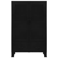 Miry Tall Office Cabinet, 2 Drawers w 2 Mesh Front Doors, Black Steel - BM339701
