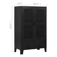 Miry Tall Office Cabinet, 2 Drawers w 2 Mesh Front Doors, Black Steel - BM339701