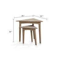 Liom Nesting Side Table Set of 2, Triangular Top, Natural Brown Mindi Wood - BM339805