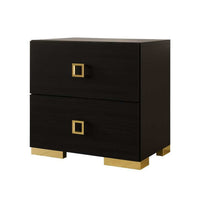 Lati Nightstand, 2 Drawers, Black Wood, Gold Metal, 24 Inch - BM340882