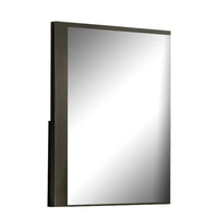Kena Vanity Dresser Mirror, 2 Tone Metallic Gray Asymmetrical Frame - BM341010