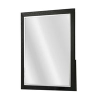 Portrait Dresser Mirror, Black, Rubberwood, 36x40 Wide Frame Profile - BM341046