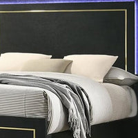 Lati Queen Bed, LED Headboard, Gold Trim and Bracket Legs, Black Wood - BM342309