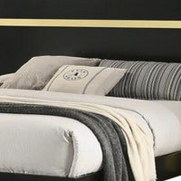 Yoki Full Size Bed w Underbed LED, Acrylic Gold Trim, Black Frame - BM342349