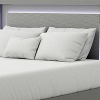 Aliso Queen Size Bed, LED Panel Headboard, Modern Metallic Gray - BM342377