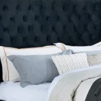 Hiu Queen Size Bed, Wingback Headboard in Black Velvet Like Upholstery - BM342419