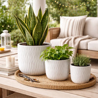 Kena Planter Set of 3, White Ceramic, Wave Texture Indoor, 13 10 8 Inch
