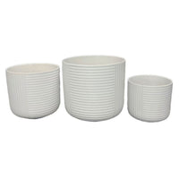 Kena Planter Set of 3, White Ceramic, Ribbed Texture Pots, 12 10 8 Inch  - BM344413