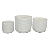 Kena Planter Set of 3, White Ceramic, Ribbed Texture Pots, 12 10 8 Inch  - BM344413