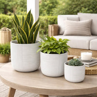 Kena Planter Set of 3, White Ceramic, Ribbed Texture Pots, 12 10 8 Inch  - BM344413