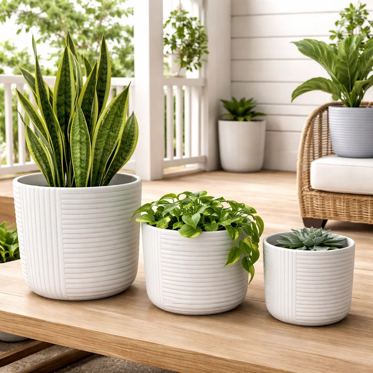 Kena Planter Set of 3, White Ceramic, Ribbed Texture Pots, 12 10 8 Inch  - BM344413