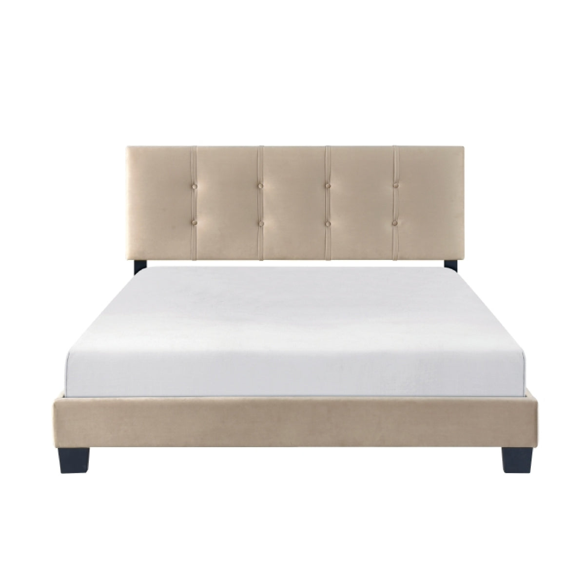 Viki Queen Platform Bed, Button Tufted, Light Brown Velvet Upholstery  - BM347894