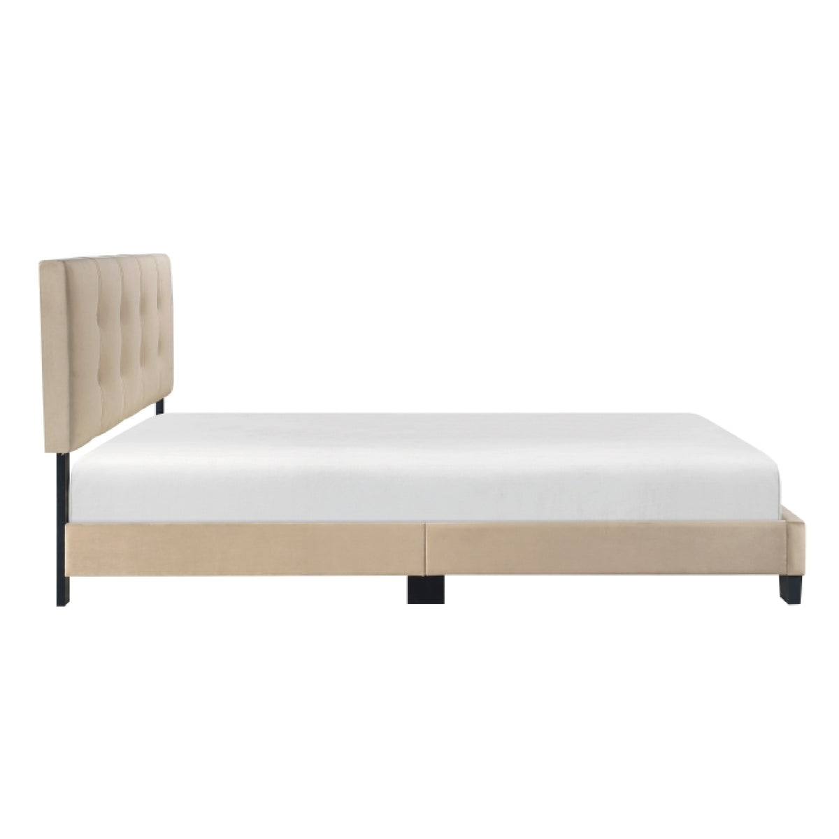 Viki Queen Platform Bed, Button Tufted, Light Brown Velvet Upholstery  - BM347894