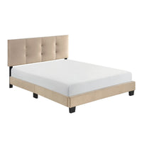 Viki Full Platform Bed, Button Tufted, Light Brown Velvet Upholstery  - BM347941