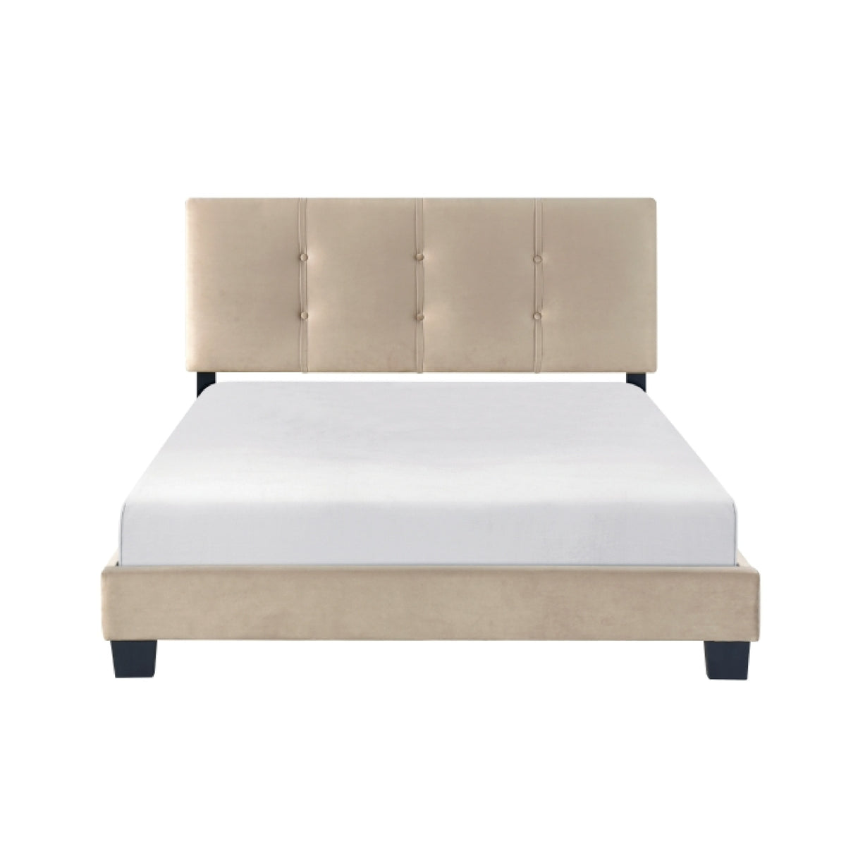 Viki Full Platform Bed, Button Tufted, Light Brown Velvet Upholstery  - BM347941