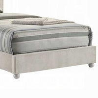 Rex Twin Size Bed with Storage and Beige Button Tufted Arched Headboard - BM348309