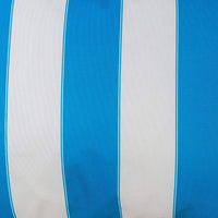 Keo Outdoor Lumbar Throw Pillow Cover, Blue and White Wide Stripes, 14x20 - BM349694