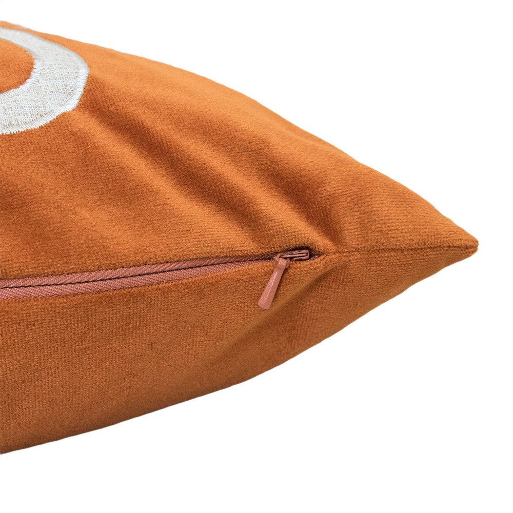 Dery Throw Pillow, Vintage Vine Accented Orange Velvet, 20 Inch Square - BM349728