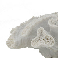 Decorative Coral Sculpture Tabletop Decor, 9 Inch White Polyresin - BM350027
