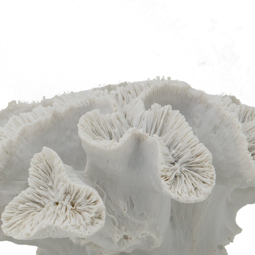 Decorative Coral Sculpture Tabletop Decor, 9 Inch White Polyresin - BM350027