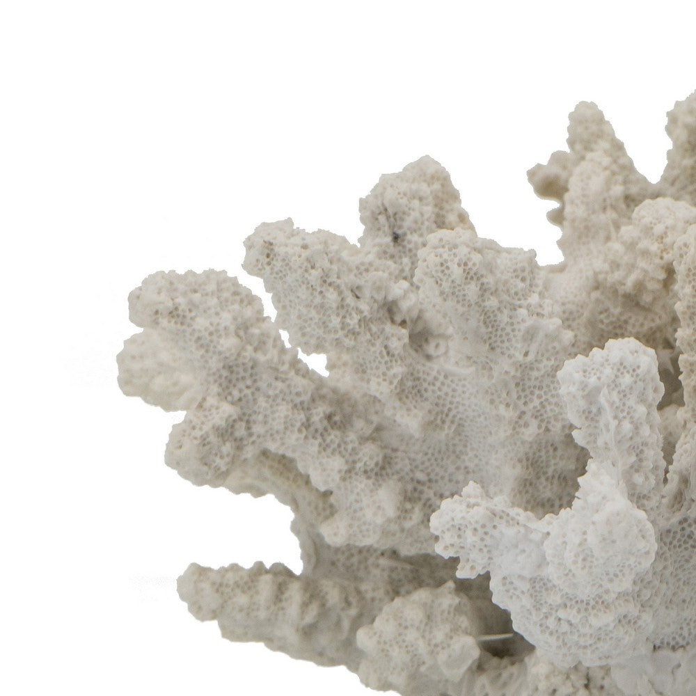 Coastal Decorative Faux Coral Sculpture, Realistic, 8 Inch White Polyresin - BM350028