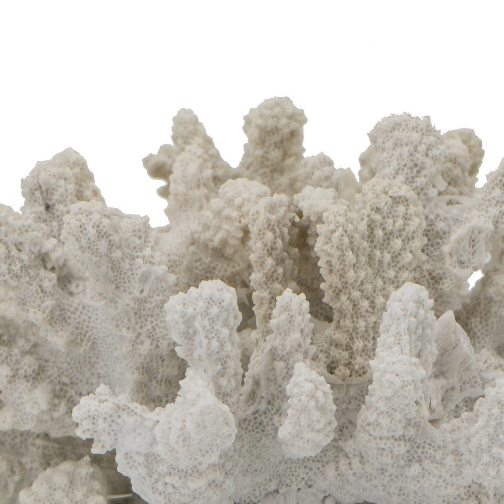 Coastal Decorative Faux Coral Sculpture, Realistic, 8 Inch White Polyresin - BM350028