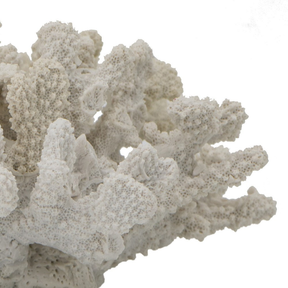Coastal Decorative Faux Coral Sculpture, Realistic, 8 Inch White Polyresin - BM350028