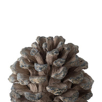 Hazel Accent Decor, 11 Inch Pine Cone Polyresin Sculpture, Gray  - BM350273