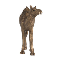 Camel Accent Decor, Realistic 9 Inch Sculpture, Polyresin Bronze  - BM350275