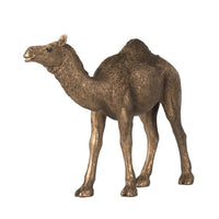 Camel Accent Decor, Realistic 9 Inch Sculpture, Polyresin Bronze  - BM350275