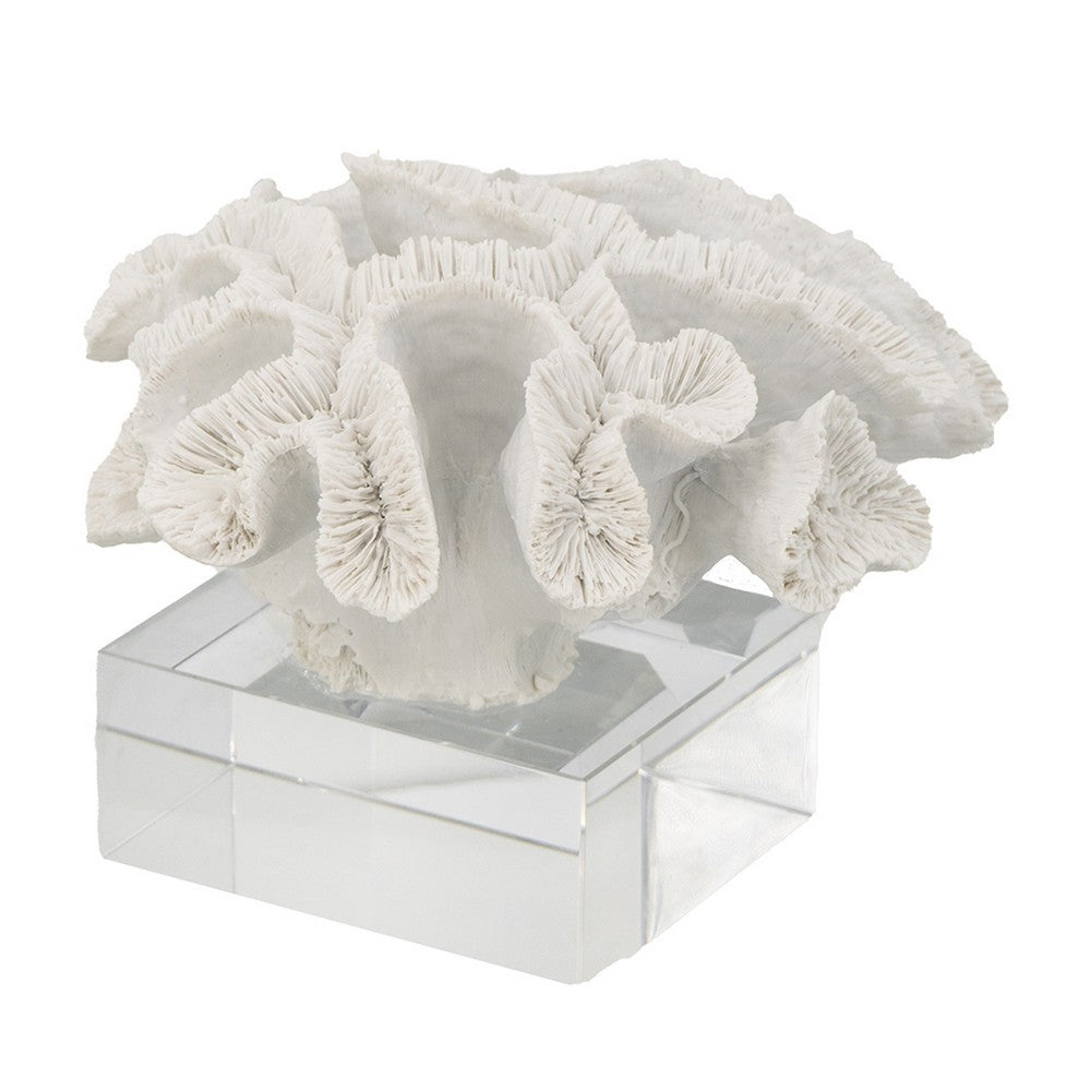 Davy Rising Faux Coral Accent, Clear Glass, Luxe White Polyresin 9 Inch - BM350330