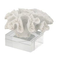 Davy Rising Faux Coral Accent, Clear Glass, Luxe White Polyresin 9 Inch - BM350330