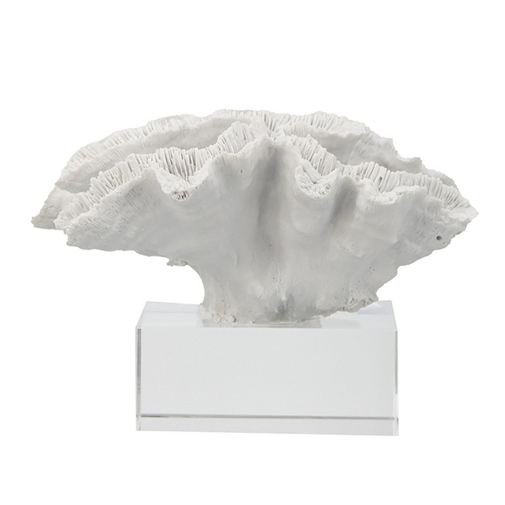 Davy Rising Faux Coral Accent, Clear Glass, Luxe White Polyresin 9 Inch - BM350330