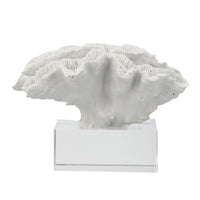 Davy Rising Faux Coral Accent, Clear Glass, Luxe White Polyresin 9 Inch - BM350330