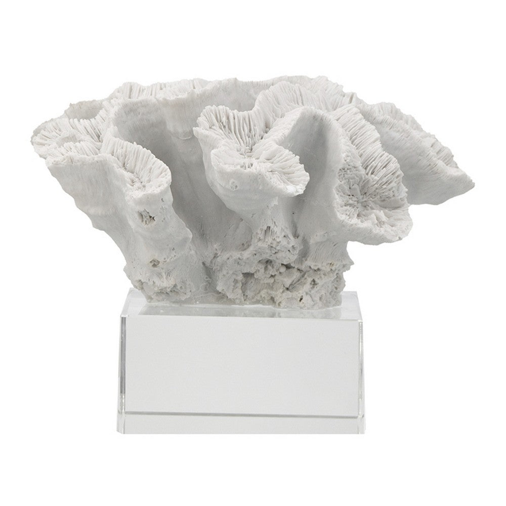 Davy Rising Faux Coral Accent, Clear Glass, Luxe White Polyresin 9 Inch - BM350330
