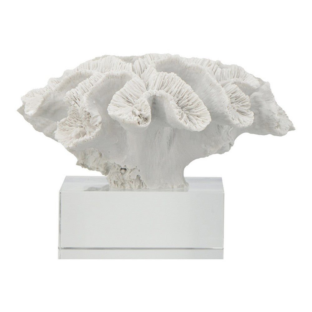 Davy Rising Faux Coral Accent, Clear Glass, Luxe White Polyresin 9 Inch - BM350330