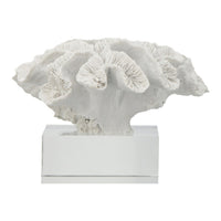 Davy Rising Faux Coral Accent, Clear Glass, Luxe White Polyresin 9 Inch - BM350330