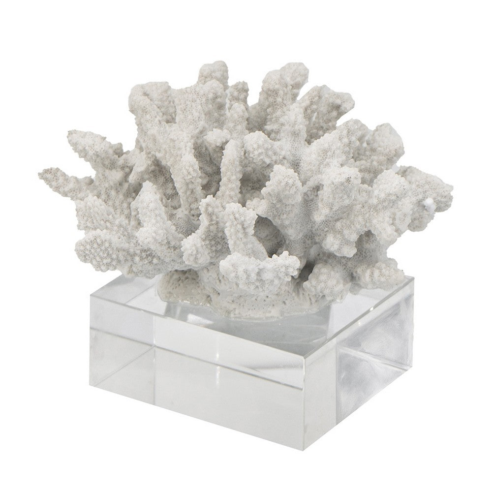 Davy Inna Faux Coral Accent, Clear Glass, Natural White Polyresin 8 Inch - BM350331