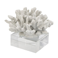 Davy Inna Faux Coral Accent, Clear Glass, Natural White Polyresin 8 Inch - BM350331