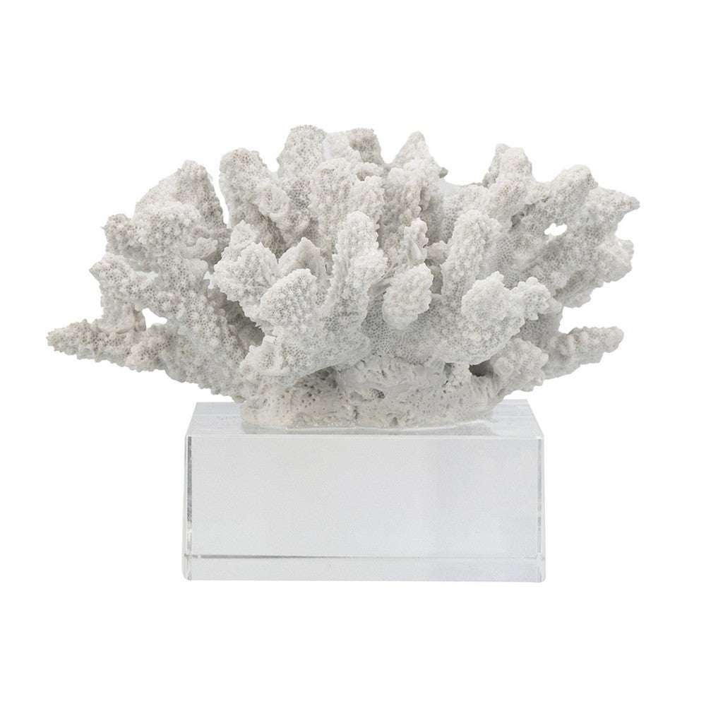 Davy Inna Faux Coral Accent, Clear Glass, Natural White Polyresin 8 Inch - BM350331