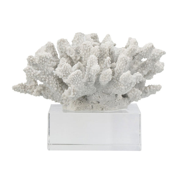 Davy Inna Faux Coral Accent, Clear Glass, Natural White Polyresin 8 Inch - BM350331
