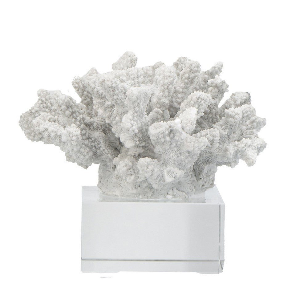 Davy Inna Faux Coral Accent, Clear Glass, Natural White Polyresin 8 Inch - BM350331