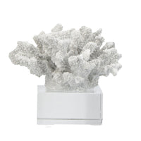Davy Inna Faux Coral Accent, Clear Glass, Natural White Polyresin 8 Inch - BM350331