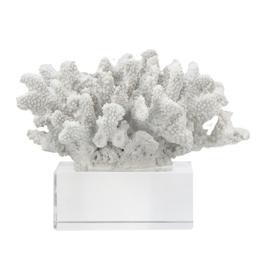 Davy Inna Faux Coral Accent, Clear Glass, Natural White Polyresin 8 Inch - BM350331