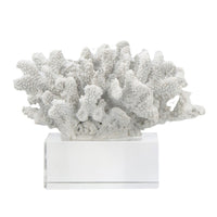 Davy Inna Faux Coral Accent, Clear Glass, Natural White Polyresin 8 Inch - BM350331