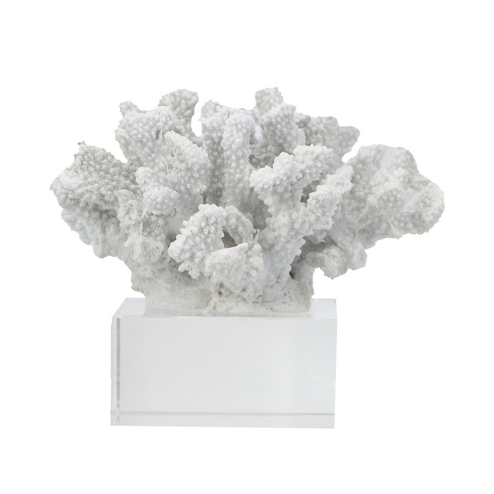 Davy Inna Faux Coral Accent, Clear Glass, Natural White Polyresin 8 Inch - BM350331