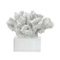 Davy Inna Faux Coral Accent, Clear Glass, Natural White Polyresin 8 Inch - BM350331
