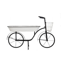 Indoor Outdoor Bicycle Plant Stand with Basket, White, 39 Inch Black Iron - BM350888