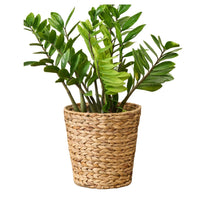 Storage Basket, Farmhouse Natural Brown Hyacinth, Arrow Woven, 11 Inch - BM351308