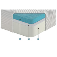 Mae Twin Size Mattress, Cool Gel Memory Foam, Tencel Cover, 10 Inch Firm - BM351362